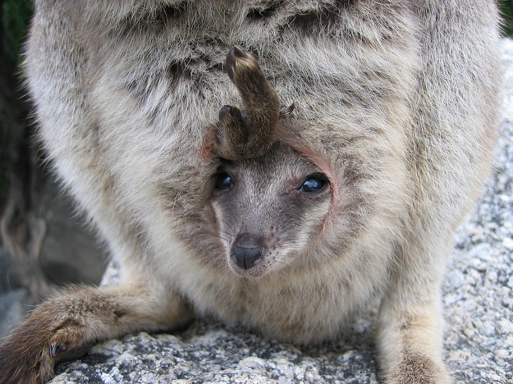 128 Granite Gorge.jpg